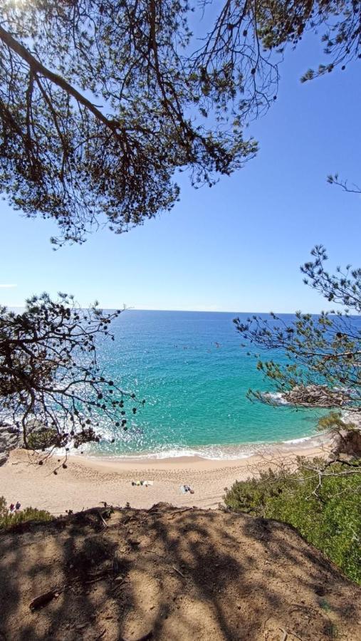 Daro Apartments Platja d'Aro Exteriér fotografie